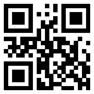 QrCode di 3304087229