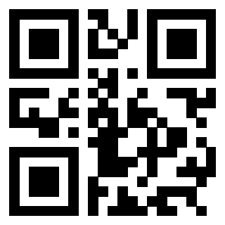 QrCode di 3304087325