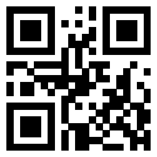 3304087339 - Immagine del QrCode