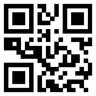 3304087344 QrCode associato
