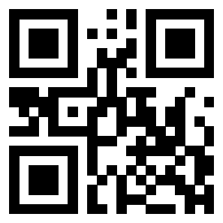 Il Qr Code di 3304087352