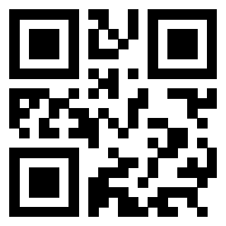 QrCode di 3304087423