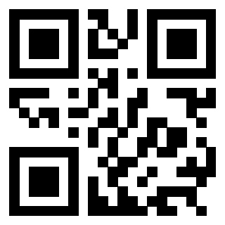 Il Qr Code di 3304087438