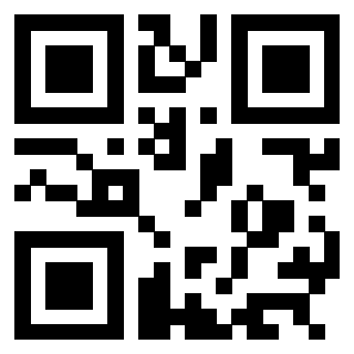 QrCode di 3304087473