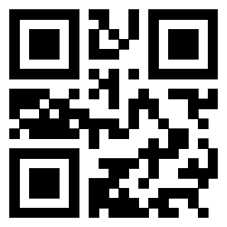 3304087515 QrCode associato