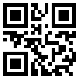 3304087667 Qr Code associato
