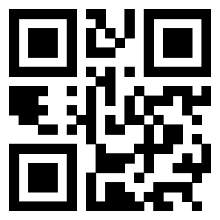 3304087765 - Immagine del QrCode