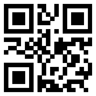 3304087813 - Immagine del QrCode