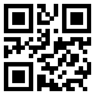 QrCode di 3304087838
