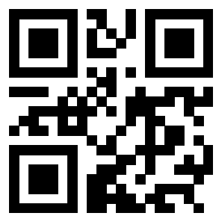 3304087875 Qr Code associato