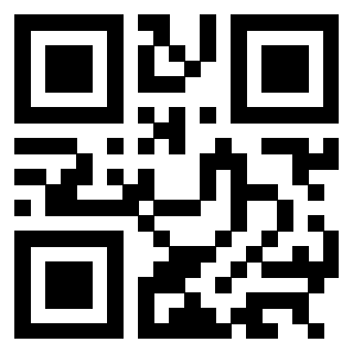 3304105560 - Immagine del QrCode associato