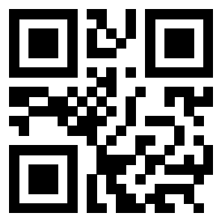 3304105919 - Immagine del QrCode