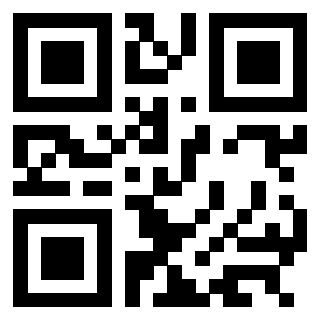 3304106160 - Immagine del Qr Code