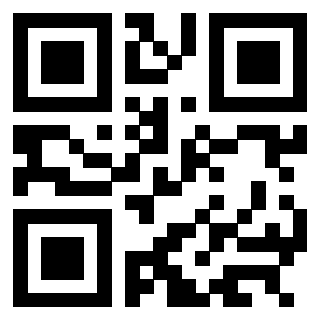 3304106241 - Immagine del QrCode