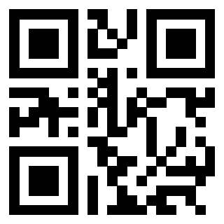 QrCode di 3304106256