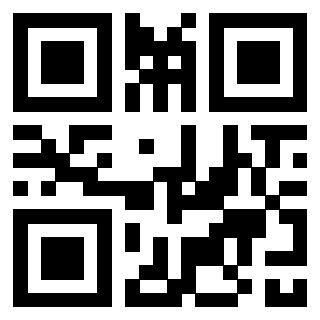3304106531 - Immagine del QrCode