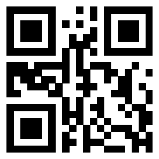 QrCode di 3304169296