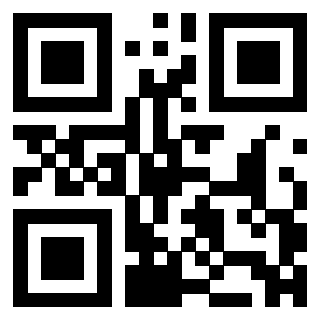 QrCode di 3304169393