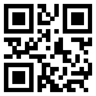 3304169493 - Immagine del QrCode