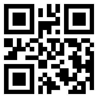 QrCode di 3304169679