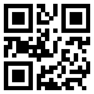 3304169691 - Immagine del Qr Code associato