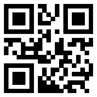 3304169729 Qr Code associato
