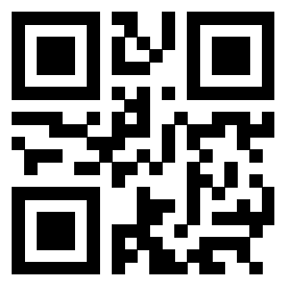 3304169787 - Immagine del Qr Code associato