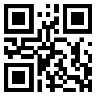 3304170137 - Immagine del QrCode