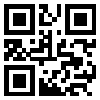 3304170179 - Immagine del QrCode associato