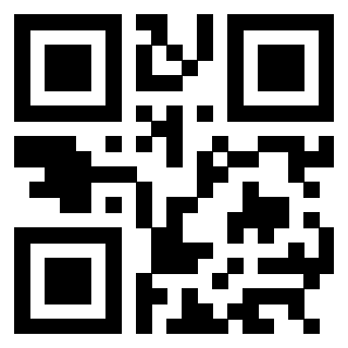 3304170206 QrCode associato