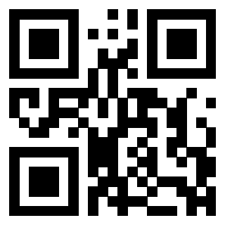 3304170221 - Immagine del QrCode