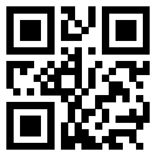 3304194029 - Immagine del QrCode associato