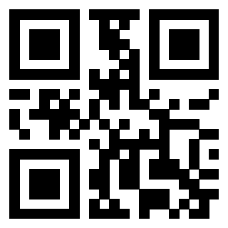 QrCode di 3304194272