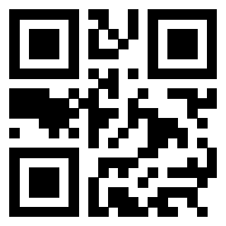 3304194384 - Immagine del QrCode