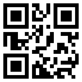 3304194463 - Immagine del QrCode