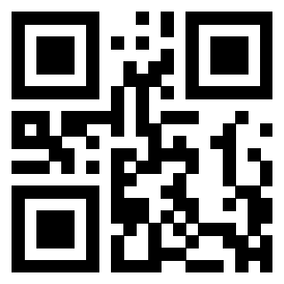 QrCode di 3304194487