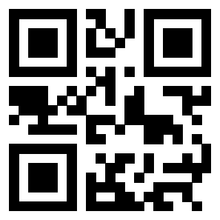 3304194493 - Immagine del QrCode