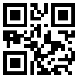 QrCode di 3304194494