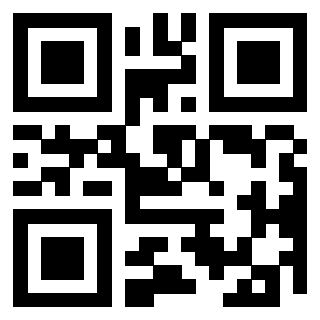 3304194666 - Immagine del QrCode