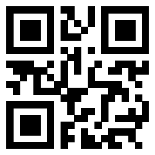 3304194667 - Immagine del Qr Code associato