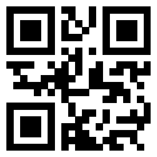 QrCode di 3304194713
