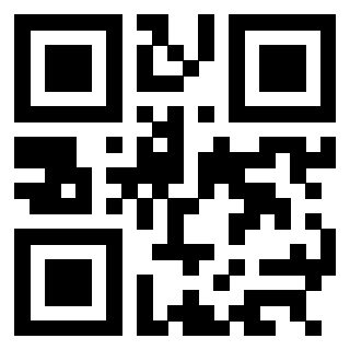QrCode di 3304194866