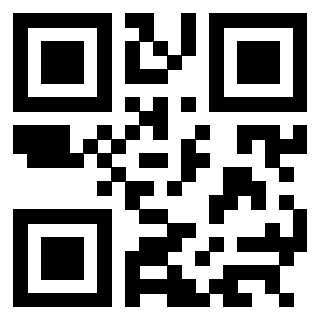 3304194956 - Immagine del QrCode