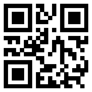 3304236566 - Immagine del QrCode associato