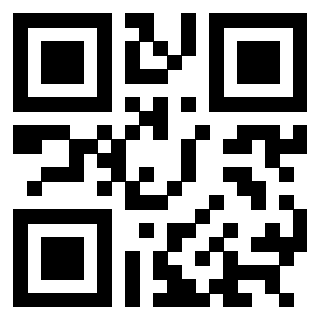 3304236640 Qr Code associato