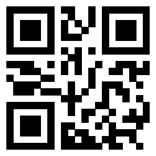 3304236694 - Immagine del QrCode