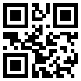 3304237228 - Immagine del QrCode