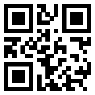 3304237378 - Immagine del QrCode