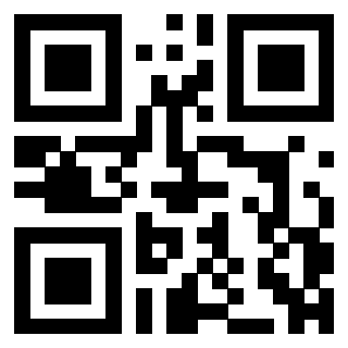 3304272896 QrCode associato