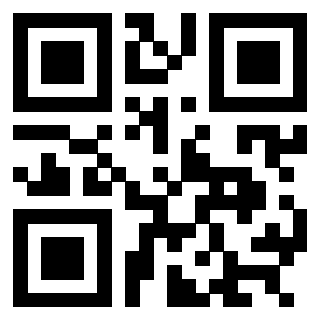 3304272989 QrCode associato